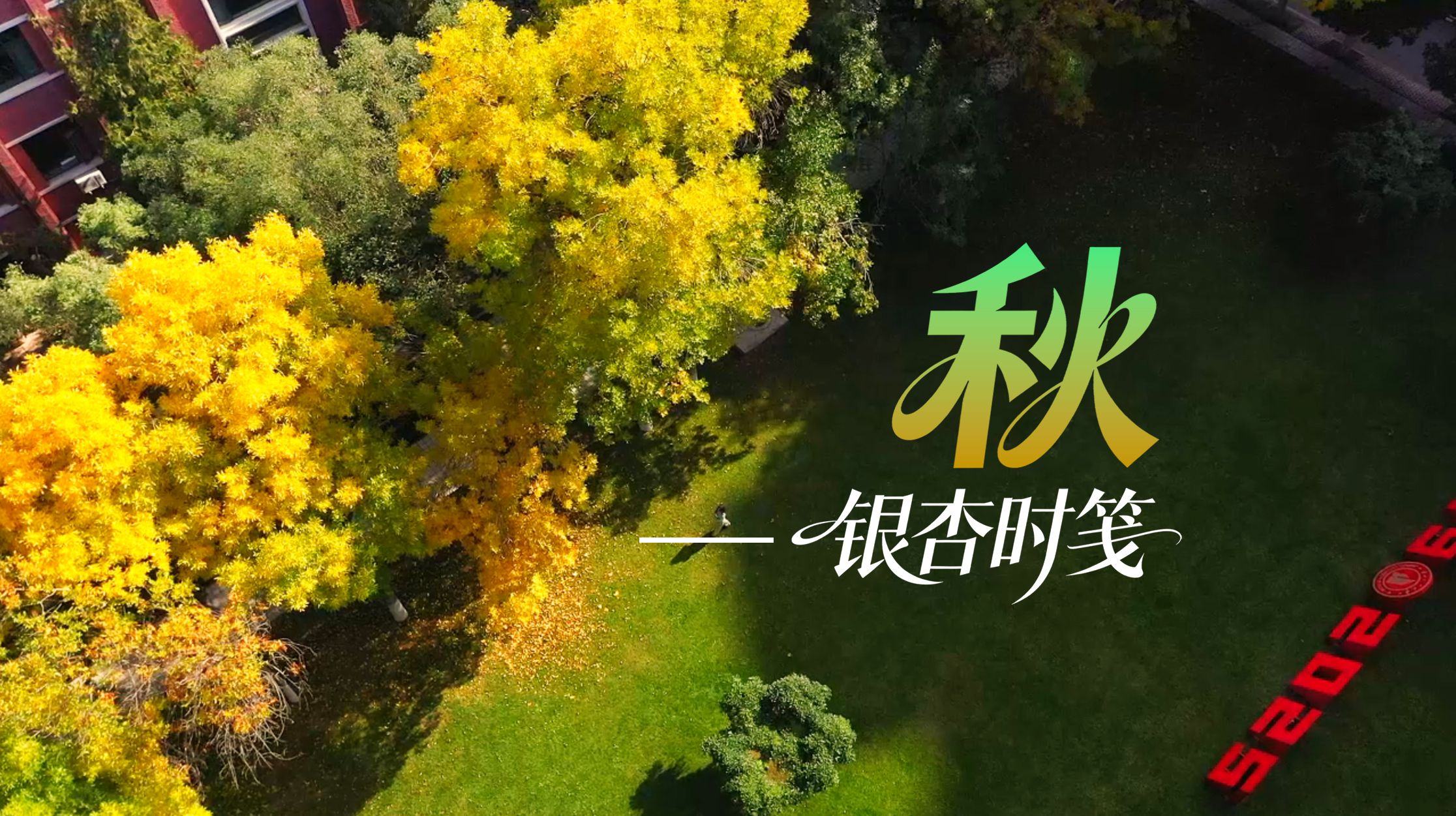 秋——银杏时笺