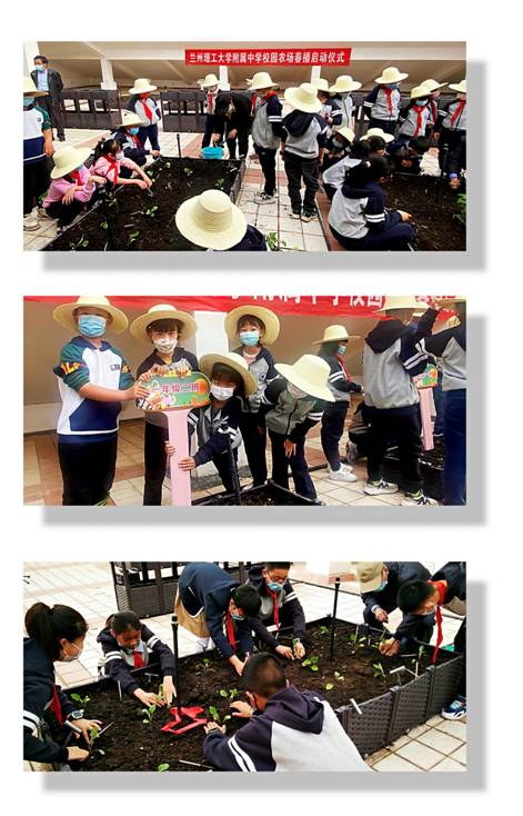 8f1990eb5fb2dd784e5ee53e8f28821