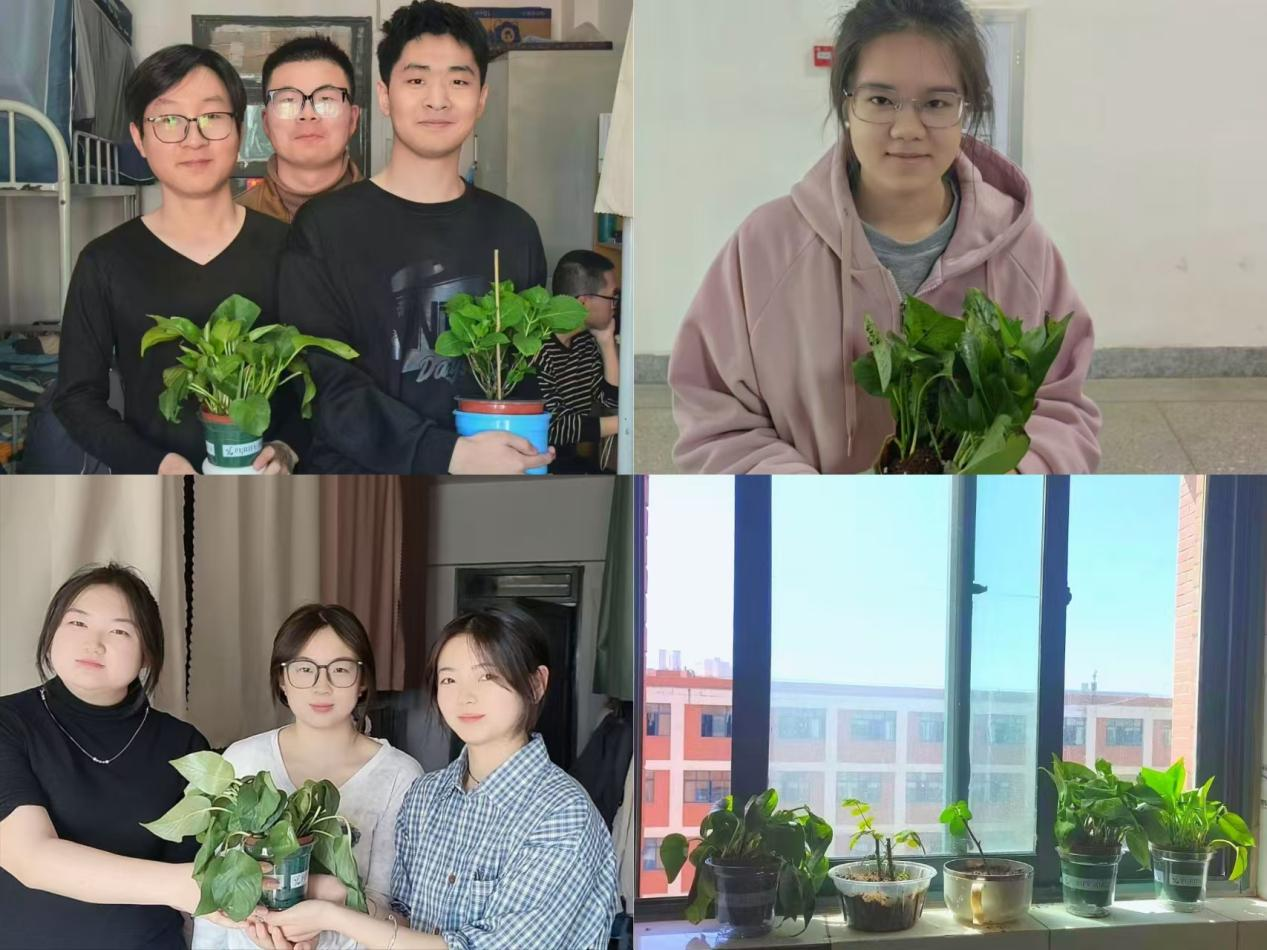 外国语学院举办“美美‘寓’共・绿意润心”宿舍绿植领养活动