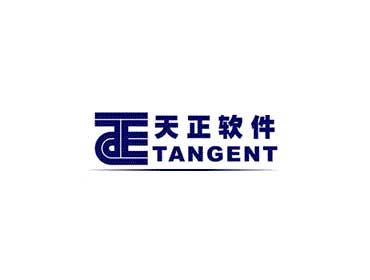 天正软件