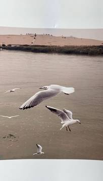 QQ图片20201028090322