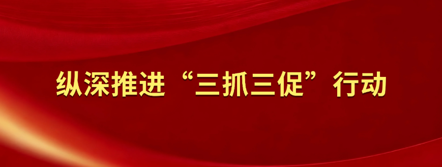 “三抓三促”行动进行时