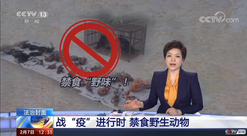 法治在线二