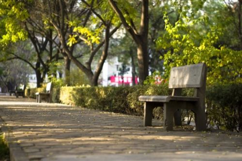 我们的大学生活——能动学子“拍拍秀”