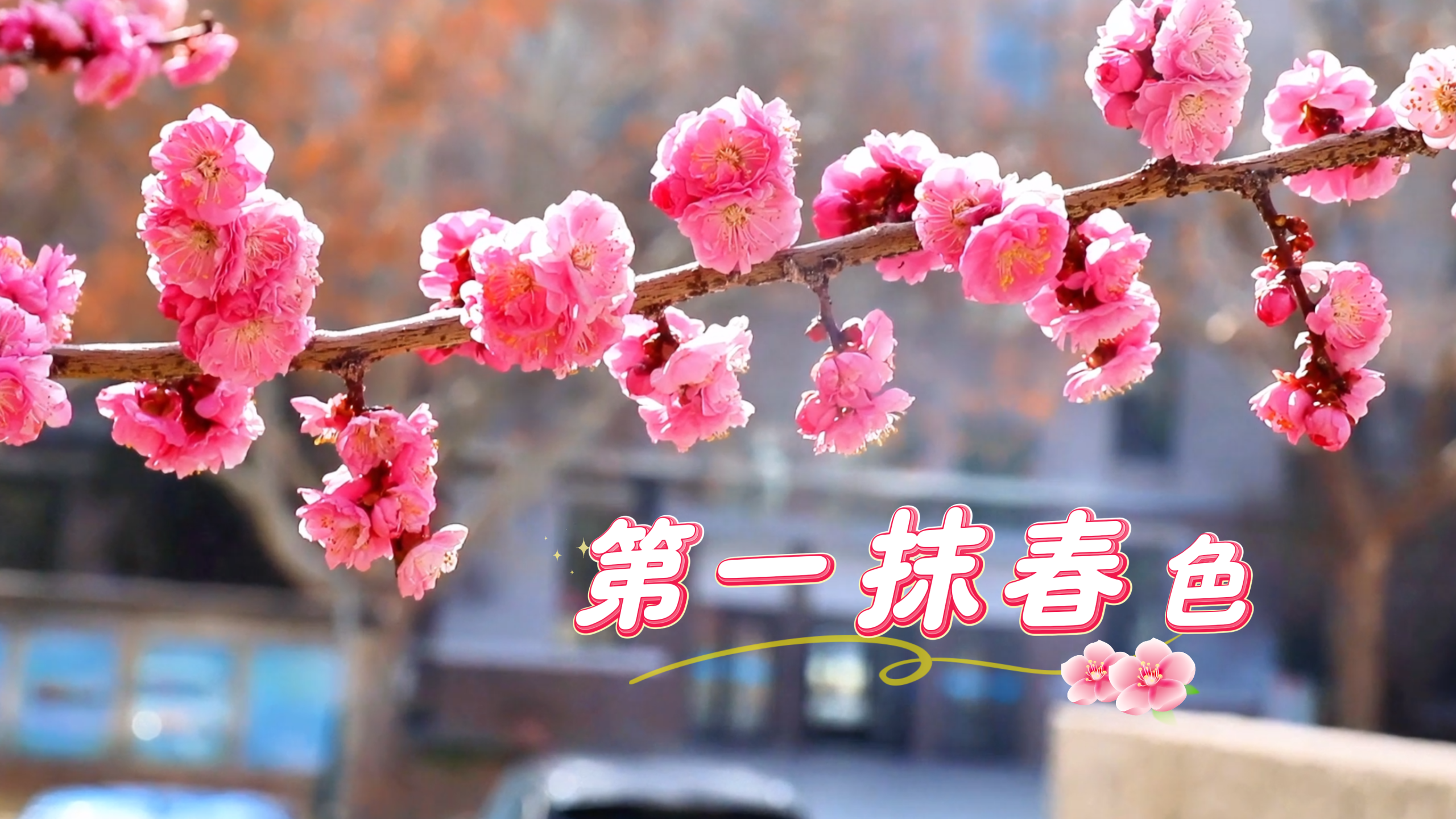 签收兰理工的第一抹春色