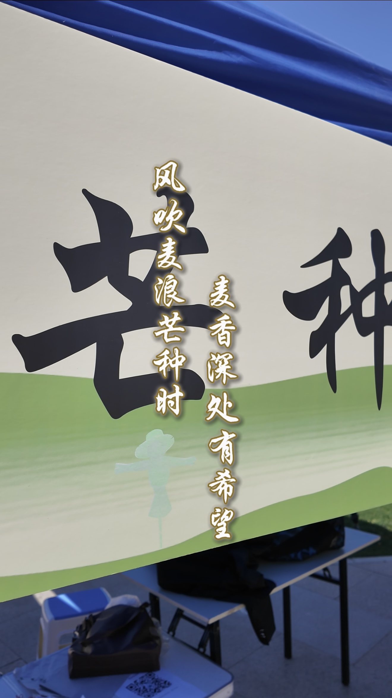 芒种至 盛夏始 有收有种 自在从容