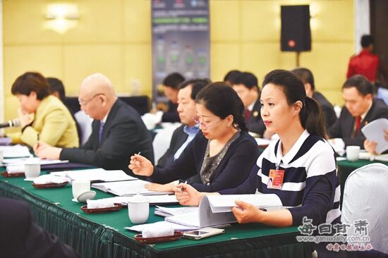 【见证履职】马建苹代表：甘肃公办幼儿园仍需扶持