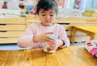 4df7da86bef9447e88168fec77aaa84